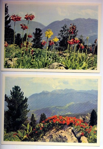 Alt foto pk - 2, foto-pk