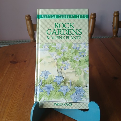 Rock gardens alpine plants - rock,