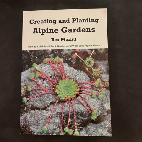 Creating and planting alpine - planting,