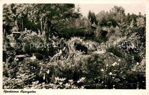 Pforzheim alpengarten - pforzheim,