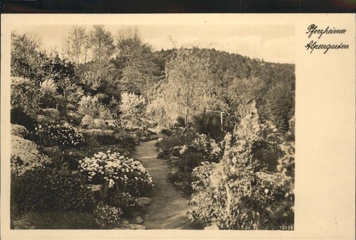 Pforzheim alpengarten - pforzheim,