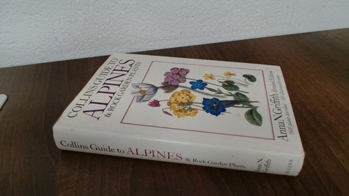 Alpines and rock garden - alpines,