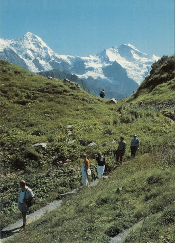 Alte postkarte alpengarten - postkarte,