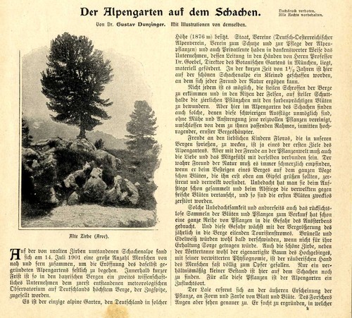 Eröffnung alpengarten auf - eröffnung,