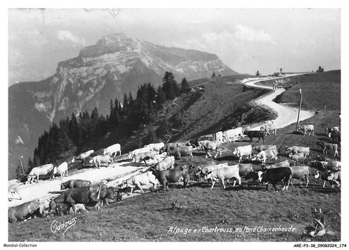 Arep3 0267 alpengarten in - -,