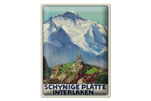 Blechschild reise 30x40 - reise,