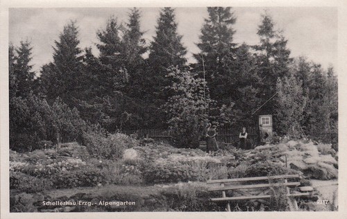 Postkarte schellerhau - 12/postkarte,
