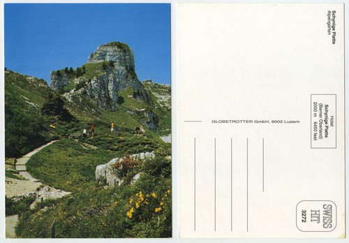 49251 schynige platte - 49251,