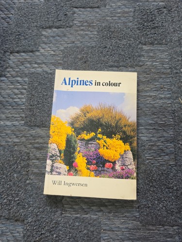 Alpines colour blandford - alpines, (blandford